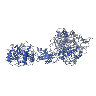33787_7yfe_L_v1-0
In situ structure of polymerase complex of mammalian reovirus in virion