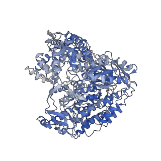 33787_7yfe_R_v1-0
In situ structure of polymerase complex of mammalian reovirus in virion