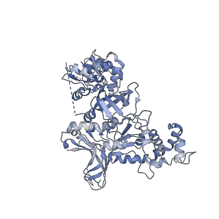 33787_7yfe_U_v1-0
In situ structure of polymerase complex of mammalian reovirus in virion