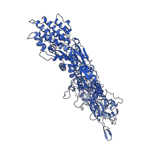 33787_7yfe_a_v1-0
In situ structure of polymerase complex of mammalian reovirus in virion