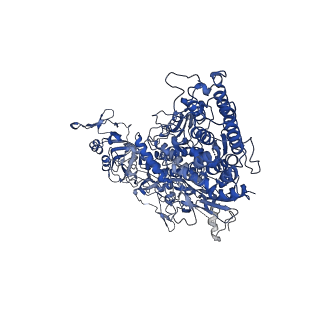 33787_7yfe_b_v1-0
In situ structure of polymerase complex of mammalian reovirus in virion