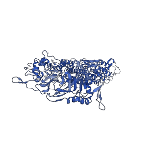 33787_7yfe_d_v1-0
In situ structure of polymerase complex of mammalian reovirus in virion