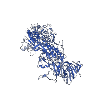 33787_7yfe_e_v1-0
In situ structure of polymerase complex of mammalian reovirus in virion