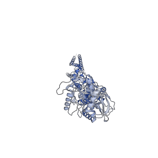 33788_7yff_A_v1-2
Structure of GluN1a-GluN2D NMDA receptor in complex with agonist glycine and competitive antagonist CPP.