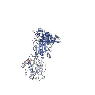 33788_7yff_B_v1-2
Structure of GluN1a-GluN2D NMDA receptor in complex with agonist glycine and competitive antagonist CPP.