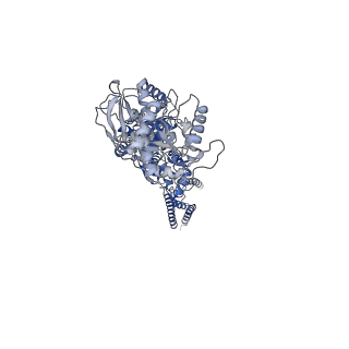 33788_7yff_C_v1-2
Structure of GluN1a-GluN2D NMDA receptor in complex with agonist glycine and competitive antagonist CPP.