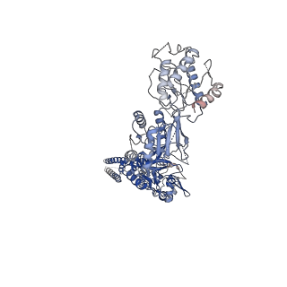 33788_7yff_D_v1-2
Structure of GluN1a-GluN2D NMDA receptor in complex with agonist glycine and competitive antagonist CPP.
