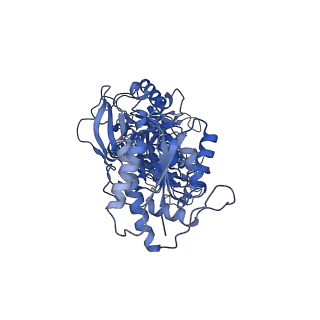 33789_7yfg_A_v1-2
Structure of the Rat GluN1-GluN2C NMDA receptor in complex with glycine and glutamate (major class in asymmetry)