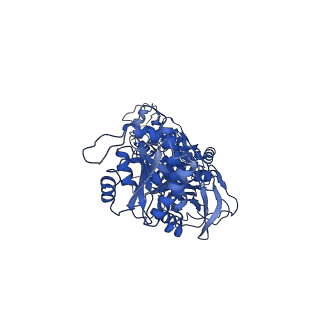 33789_7yfg_C_v1-2
Structure of the Rat GluN1-GluN2C NMDA receptor in complex with glycine and glutamate (major class in asymmetry)