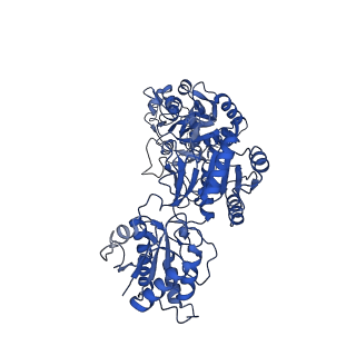 33789_7yfg_D_v1-2
Structure of the Rat GluN1-GluN2C NMDA receptor in complex with glycine and glutamate (major class in asymmetry)