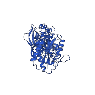 33790_7yfh_A_v1-2
Structure of the Rat GluN1-GluN2C NMDA receptor in complex with glycine, glutamate and (R)-PYD-106