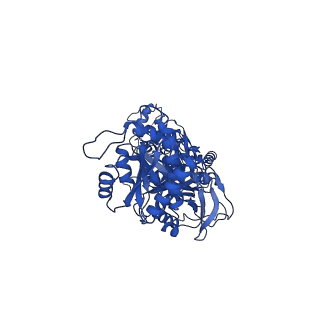 33790_7yfh_C_v1-2
Structure of the Rat GluN1-GluN2C NMDA receptor in complex with glycine, glutamate and (R)-PYD-106