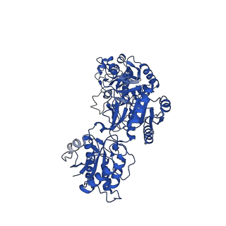 33790_7yfh_D_v1-2
Structure of the Rat GluN1-GluN2C NMDA receptor in complex with glycine, glutamate and (R)-PYD-106