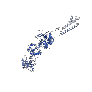 33791_7yfi_A_v1-3
Structure of the Rat tri-heteromeric GluN1-GluN2A-GluN2C NMDA receptor in complex with glycine and glutamate