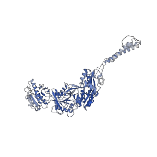 33791_7yfi_B_v1-3
Structure of the Rat tri-heteromeric GluN1-GluN2A-GluN2C NMDA receptor in complex with glycine and glutamate