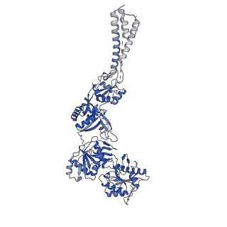33791_7yfi_D_v1-3
Structure of the Rat tri-heteromeric GluN1-GluN2A-GluN2C NMDA receptor in complex with glycine and glutamate