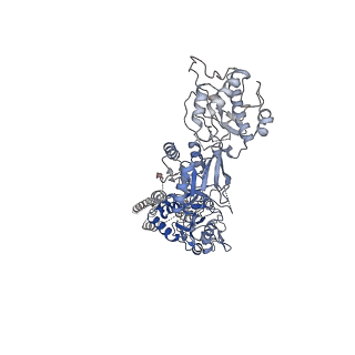 33792_7yfl_B_v1-2
Structure of GluN1a-GluN2D NMDA receptor in complex with agonists glycine and glutamate.