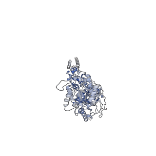 33792_7yfl_C_v1-2
Structure of GluN1a-GluN2D NMDA receptor in complex with agonists glycine and glutamate.