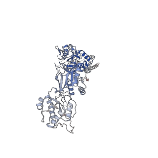33792_7yfl_D_v1-2
Structure of GluN1a-GluN2D NMDA receptor in complex with agonists glycine and glutamate.