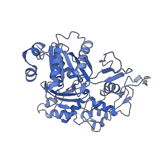 33794_7yfn_B_v1-0
Core module of the NuA4 complex in S. cerevisiae