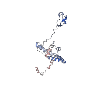 33794_7yfn_E_v1-0
Core module of the NuA4 complex in S. cerevisiae