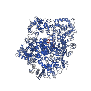 33794_7yfn_T_v1-0
Core module of the NuA4 complex in S. cerevisiae