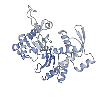 33796_7yfp_A_v1-0
The NuA4 histone acetyltransferase complex from S. cerevisiae