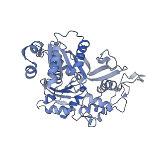 33796_7yfp_B_v1-0
The NuA4 histone acetyltransferase complex from S. cerevisiae