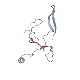 33796_7yfp_F_v1-0
The NuA4 histone acetyltransferase complex from S. cerevisiae
