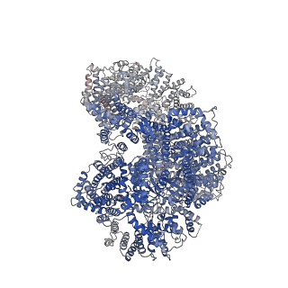 33796_7yfp_T_v1-0
The NuA4 histone acetyltransferase complex from S. cerevisiae