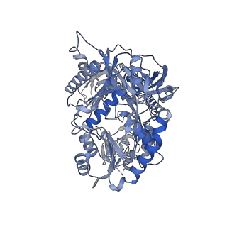 33797_7yfq_A_v1-0
Cryo-EM structure of the EfPiwi (N959K)-piRNA-target ternary complex