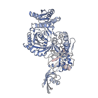 33800_7yfx_A_v1-0
Cryo-EM structure of Hili in complex with piRNA