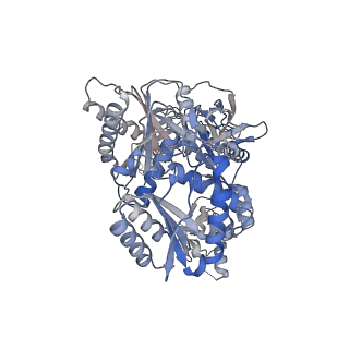 33801_7yfy_A_v1-0
Cryo-EM structure of the Mili-piRNA- target ternary complex