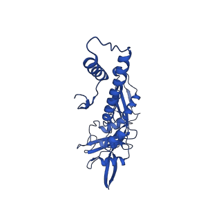 33802_7yfz_A_v1-1
Cyanophage Pam3 baseplate proteins