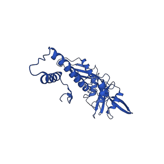 33802_7yfz_E_v1-1
Cyanophage Pam3 baseplate proteins
