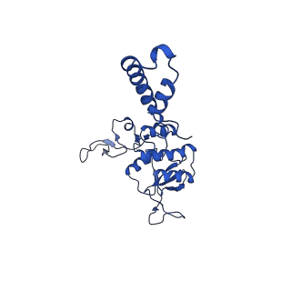 33802_7yfz_G_v1-1
Cyanophage Pam3 baseplate proteins