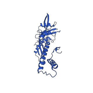 33802_7yfz_H_v1-1
Cyanophage Pam3 baseplate proteins