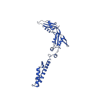 33802_7yfz_I_v1-1
Cyanophage Pam3 baseplate proteins