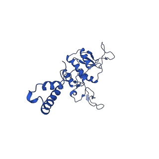 33802_7yfz_J_v1-1
Cyanophage Pam3 baseplate proteins