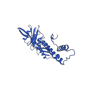 33802_7yfz_K_v1-1
Cyanophage Pam3 baseplate proteins