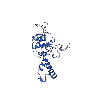 33802_7yfz_M_v1-1
Cyanophage Pam3 baseplate proteins
