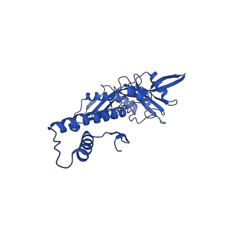 33802_7yfz_O_v1-1
Cyanophage Pam3 baseplate proteins