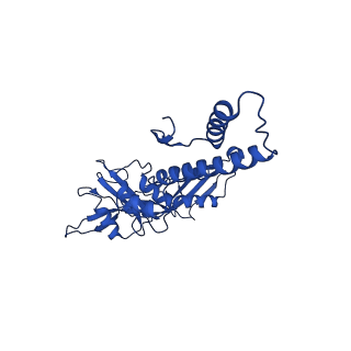 33802_7yfz_Q_v1-1
Cyanophage Pam3 baseplate proteins