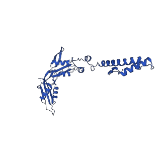 33802_7yfz_R_v1-1
Cyanophage Pam3 baseplate proteins
