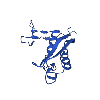 33802_7yfz_n_v1-1
Cyanophage Pam3 baseplate proteins