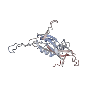 33802_7yfz_u_v1-1
Cyanophage Pam3 baseplate proteins