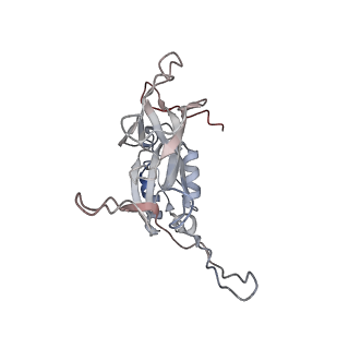 33802_7yfz_v_v1-1
Cyanophage Pam3 baseplate proteins