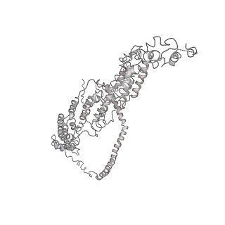 6827_5yfp_A_v1-3
Cryo-EM Structure of the Exocyst Complex