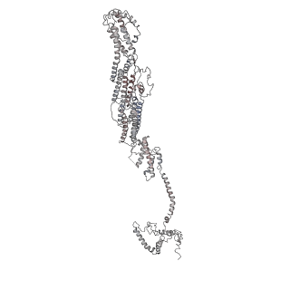 6827_5yfp_B_v1-3
Cryo-EM Structure of the Exocyst Complex