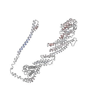 6827_5yfp_C_v1-3
Cryo-EM Structure of the Exocyst Complex